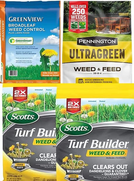 Weed and Feed